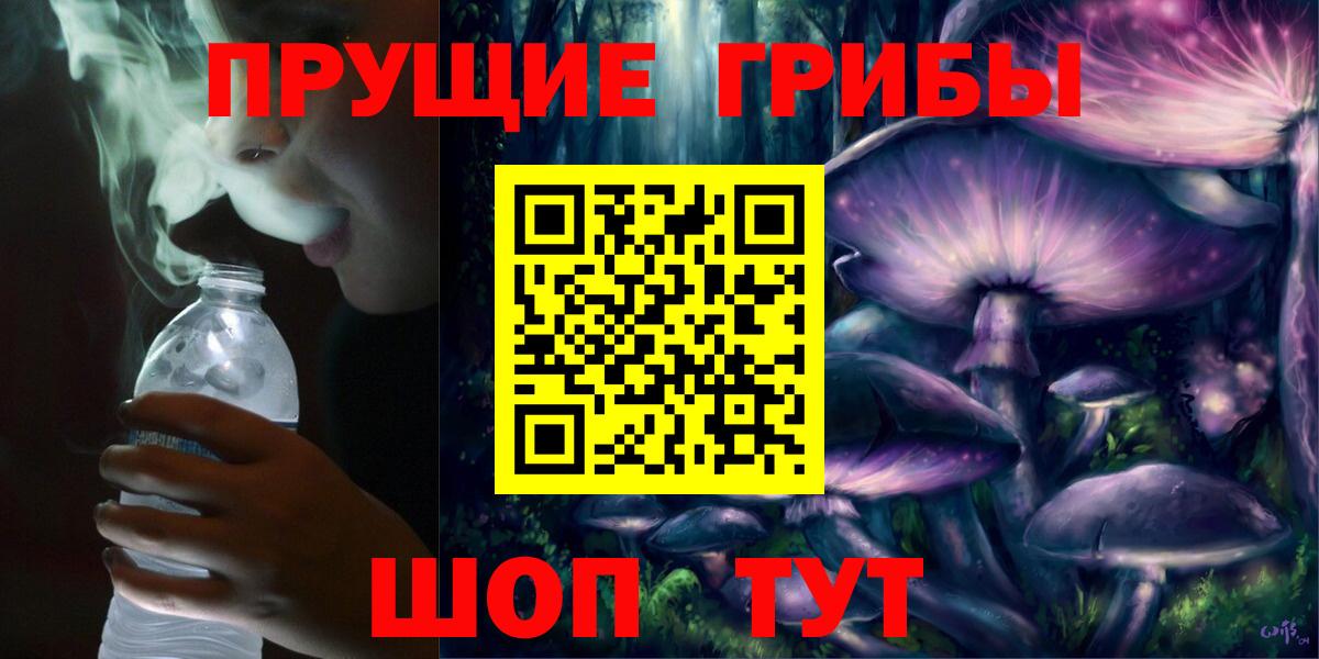 сколько стоит  Псилоцибиновые грибы мицелий  Вход с VPN  Зерноград 